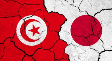 Kırık yüzey üzerinde Tunus ve Japonya bayrakları - politika, ilişki konsepti