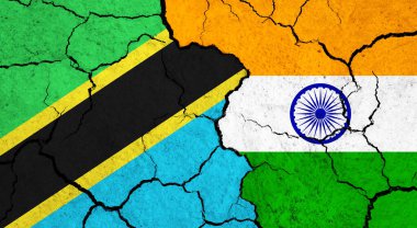 Çatlak yüzey üzerinde Tanzanya ve Hindistan bayrakları - politika, ilişki konsepti