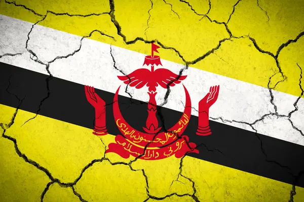 Brunei Bandeira País Rachado — Fotografia de Stock