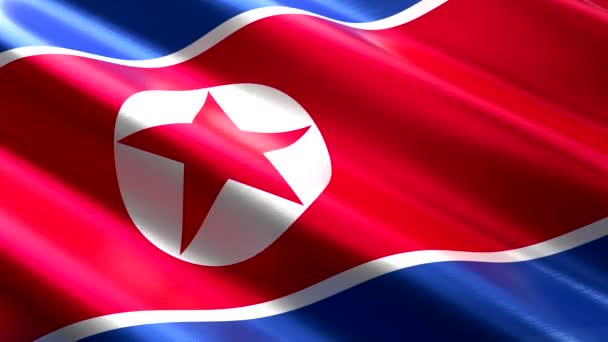 Coreia Norte Acenando Bandeira Têxtil Animação Loop Sem Costura 3840 — Vídeo de Stock