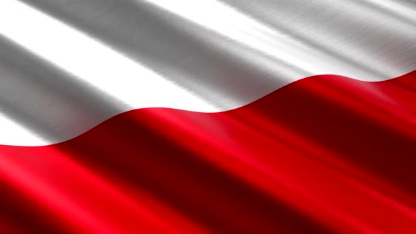 Polska Flaga Tekstylna Machająca Płynna Animacja Pętelkowa 3840 2160 — Wideo stockowe