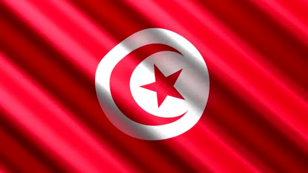 Tunesië Golvende Textielvlag Naadloze Lus Animatie 3840 2160 — Stockvideo