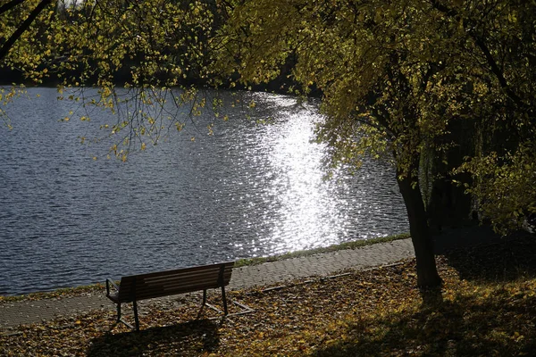 Sonbaharda parkta gölde ve kıyıda bankta