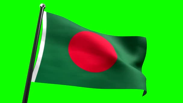 Bangladesh Bandiera Isolata Sfondo Verde Animazione 3840 2160 — Video Stock