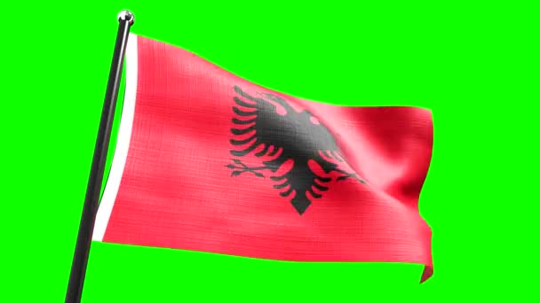 Albania Flag Isolated Green Background Animation 3840 2160 — Stock Video