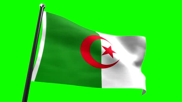 Algerije Vlag Geïsoleerd Groene Achtergrond Animatie 3840 2160 — Stockvideo