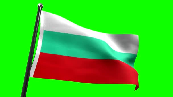 保加利亚 绿色背景隔离国旗 4K动画 3840X2160Px — 图库视频影像