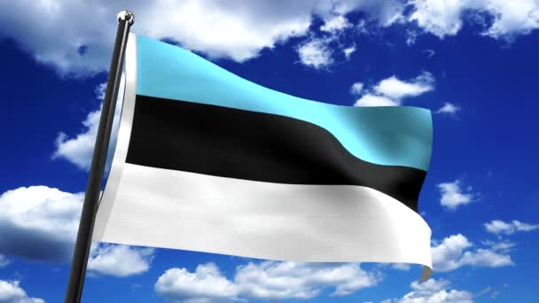 Estonia Bendera Dan Langit Latar Belakang Animasi 3840 2160 — Stok Video
