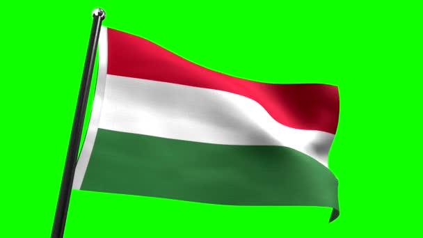 Węgry Flaga Zielonym Tle Animacja 3840 2160 — Wideo stockowe
