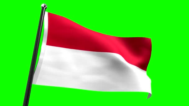 Indonezja Flaga Izolowana Zielonym Tle Animacja 3840 2160 — Wideo stockowe