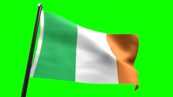 Ірландія Прапор Ізольований Зеленому Тлі Анімація 3840 2160 — стокове відео