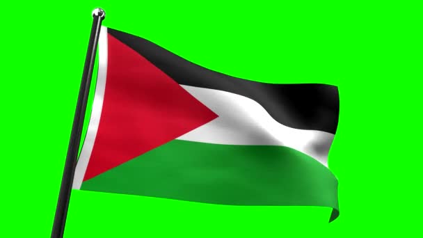 Palestina Vlag Geïsoleerd Groene Achtergrond Animatie 3840 2160 — Stockvideo