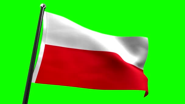 ポーランド 緑の背景に隔離されたフラグ 4Kアニメーション 3840 2160 — ストック動画
