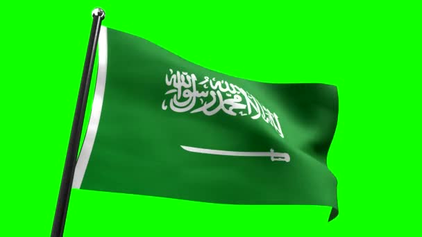 Arabia Saudita Bandiera Isolata Sfondo Verde Animazione 3840 2160 — Video Stock