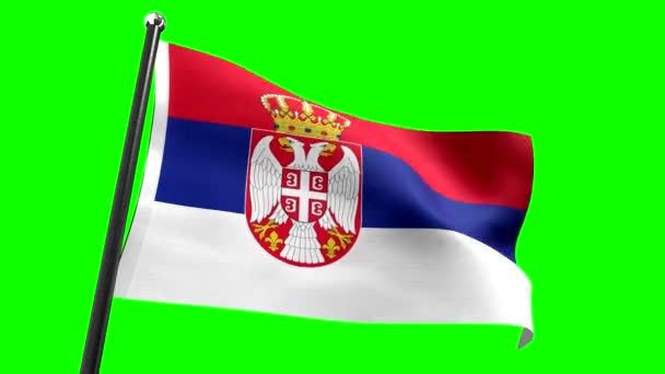 Servië Vlag Geïsoleerd Groene Achtergrond Animatie 3840 2160 — Stockvideo