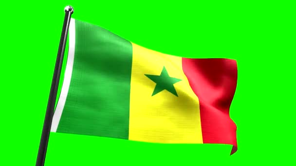 Senegal Bandiera Isolata Sfondo Verde Animazione 3840 2160 — Video Stock