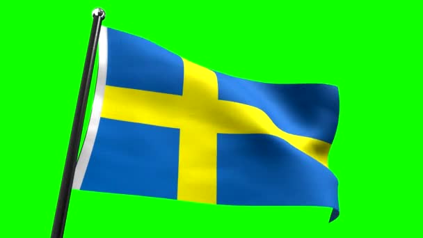 Σουηδία Σημαία Απομονωμένη Πράσινο Φόντο Animation 3840 2160 — Αρχείο Βίντεο