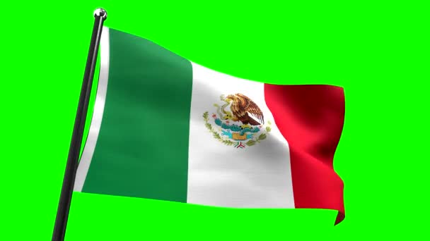 Messico Bandiera Isolata Sfondo Verde Animazione 3840 2160 — Video Stock
