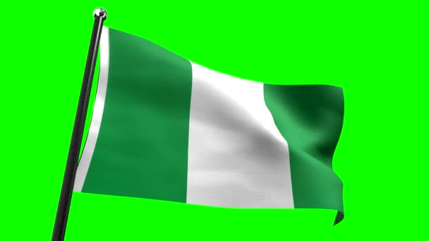 Νιγηρία Σημαία Απομονωμένη Πράσινο Φόντο Animation 3840 2160 — Αρχείο Βίντεο