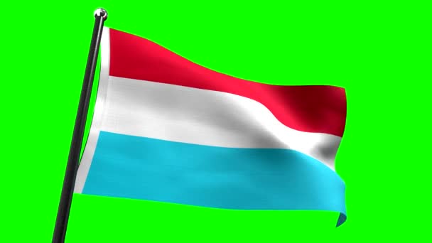 Luxemburg Vlag Geïsoleerd Groene Achtergrond Animatie 3840 2160 — Stockvideo