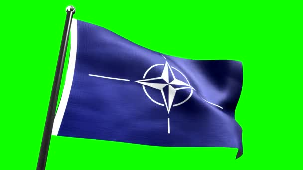 Nato North Aliance Treaty Organization Σημαία Που Απομονώνεται Πράσινο Φόντο — Αρχείο Βίντεο