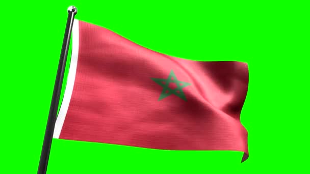 Marokko Vlag Geïsoleerd Groene Achtergrond Animatie 3840 2160 — Stockvideo