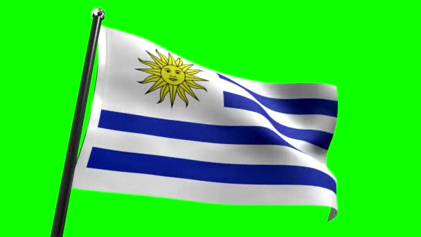 Ουρουγουάη Σημαία Απομονωμένη Πράσινο Φόντο Animation 3840 2160 — Αρχείο Βίντεο
