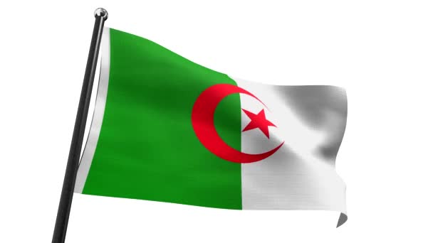 Алжир Флаг Белом Фоне Анимация 3840 2160 — стоковое видео