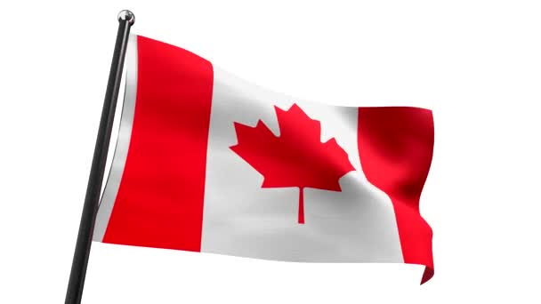Kanada Flagga Isolerad Vit Bakgrund Animation 3840 2160 — Stockvideo