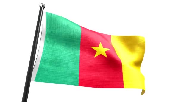 Cameroon Flag Isolated White Background Animation 3840 2160 — Stock Video