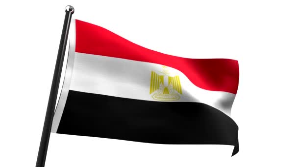 Egitto Bandiera Isolata Sfondo Bianco Animazione 3840 2160 — Video Stock