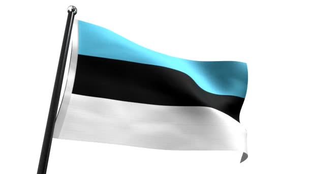 Estland Flagge Isoliert Auf Weißem Hintergrund Animation 3840 2160 — Stockvideo