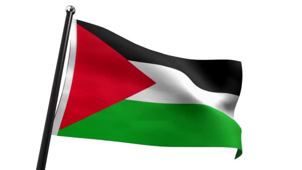 Palestyna Flaga Izolowana Białym Tle Animacja 3840 2160 — Wideo stockowe