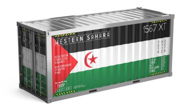 Beyaz zemin üzerinde Batı Sahra bayrağı bulunan nakliye konteynırı - 3D illüstrasyon