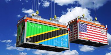 Tanzanya ve ABD bayraklı nakliye konteynerleri - 3D illüstrasyon