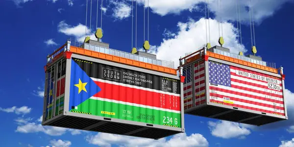 Güney Sudan ve ABD bayraklı konteynırlar - 3D illüstrasyon