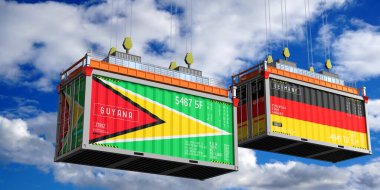 Guyana ve Almanya 'nın bayraklı konteynırları - 3D illüstrasyon