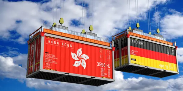 Hong Kong ve Almanya 'nın bayraklı konteynırları - 3 boyutlu illüstrasyon