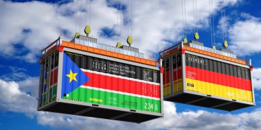 Güney Sudan ve Almanya bayraklı konteynırlar - 3D illüstrasyon