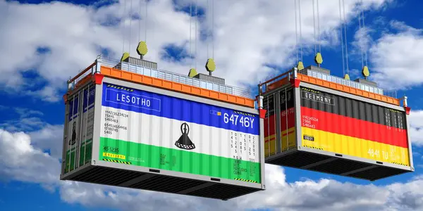 Lesotho ve Almanya bayraklı konteynırlar - 3D illüstrasyon