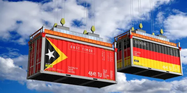 Doğu Timor ve Almanya bayraklı nakliye konteynerleri - 3D illüstrasyon