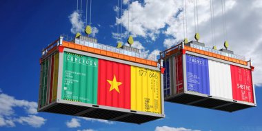 Üzerinde Kamerun ve Fransa bayrakları olan konteynırlar - 3D illüstrasyon