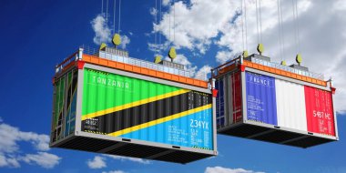 Tanzanya ve Fransa bayraklı nakliye konteynerleri - 3D illüstrasyon