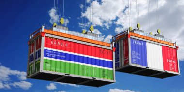 Gambiya ve Fransa bayraklı nakliye konteynerleri - 3D illüstrasyon