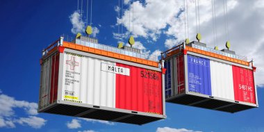 Malta ve Fransa bayraklı nakliye konteynerleri - 3D illüstrasyon