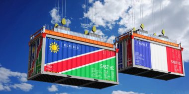 Namibya ve Fransa bayraklı konteynırlar - 3D illüstrasyon