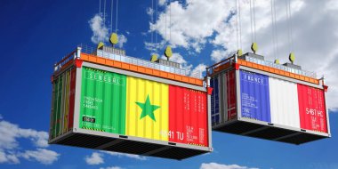 Senegal ve Fransa bayraklı nakliye konteynerleri - 3D illüstrasyon