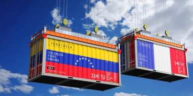 Venezuela ve Fransa bayraklı nakliye konteynerleri - 3D illüstrasyon