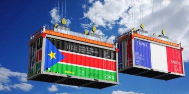 Güney Sudan ve Fransa bayraklı konteynırlar - 3D illüstrasyon