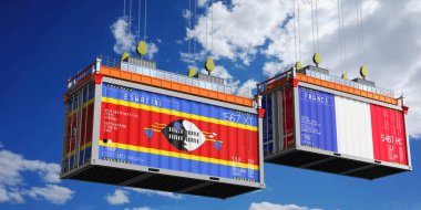 İçinde Eswatini ve Fransa 'nın bayrakları olan konteynırlar - 3D illüstrasyon